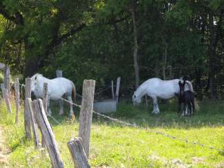 DSCN0103.JPG